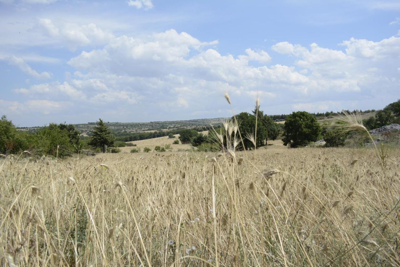Agriturismo Poggio Ferrata Ruvo di Puglia Ngoại thất bức ảnh