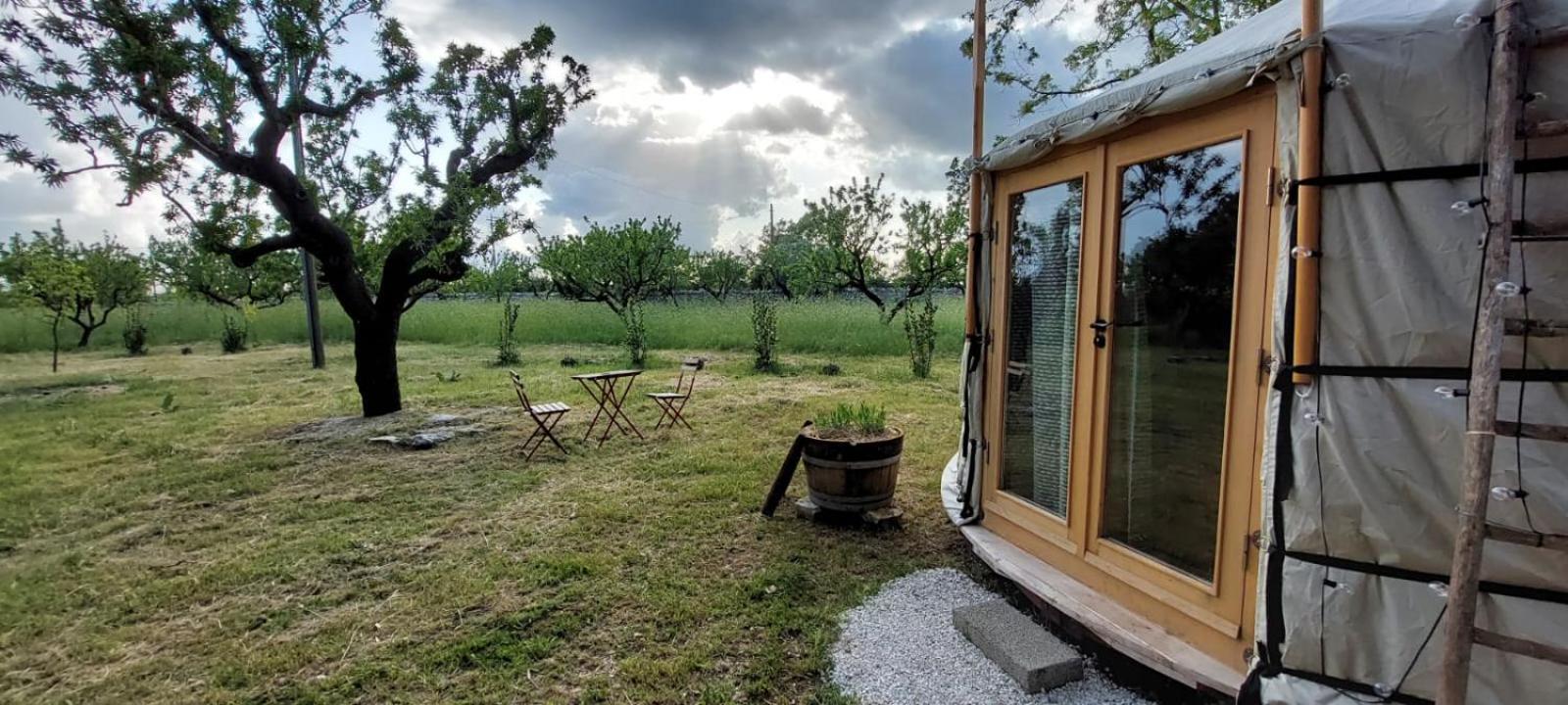 Agriturismo Poggio Ferrata Ruvo di Puglia Ngoại thất bức ảnh